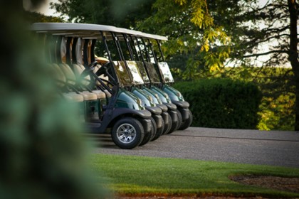 side view of a line of golf carts